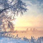 ❄️ Winter Calm: Die stille Winter-Formel, die dein überreiztes Nervensystem wirklich runterfährt Winter Calm